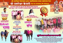 🔴 ‘बॉस-बाजी’ जोडीची विजयी धडाकेबाज धाव; केमच्या समाधान पवारांचा श्री उत्तरेश्वर केसरी किताबावर कब्जा