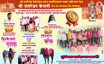 🔴 ‘बॉस-बाजी’ जोडीची विजयी धडाकेबाज धाव; केमच्या समाधान पवारांचा श्री उत्तरेश्वर केसरी किताबावर कब्जा