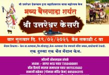 🔴 केममध्ये रंगणार ‘भव्य बैलगाडा शर्यत’; श्री उत्तरेश्वर केसरी किताबासाठी राज्यभरातून अनेक बैलगाडा मालक सज्ज