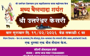 🔴 केममध्ये रंगणार ‘भव्य बैलगाडा शर्यत’; श्री उत्तरेश्वर केसरी किताबासाठी राज्यभरातून अनेक बैलगाडा मालक सज्ज